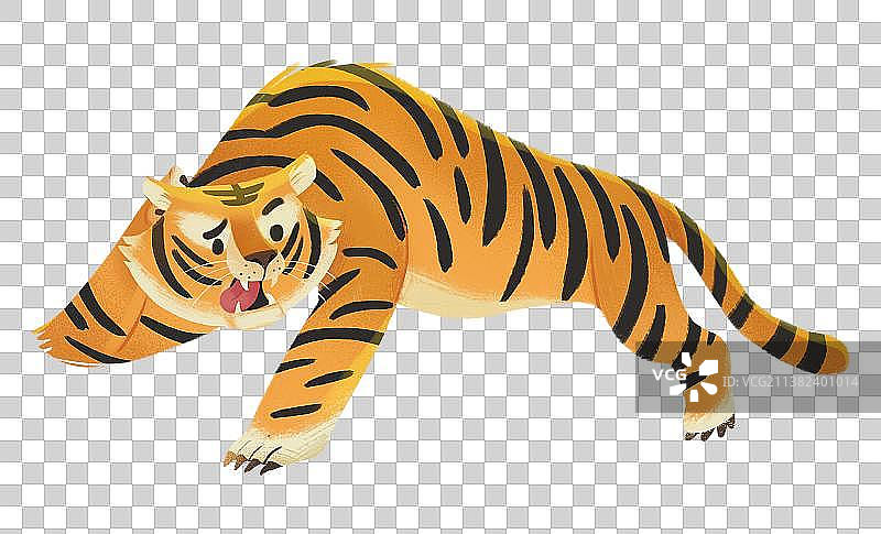 疑惑的老虎图片素材