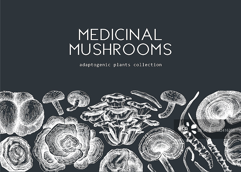 黑板上的药用蘑菇背景图片素材