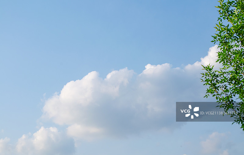 中国自然风光拍摄主题，绿色大树树冠和蓝色的天空白云，户外白昼无人图像摄影图片素材