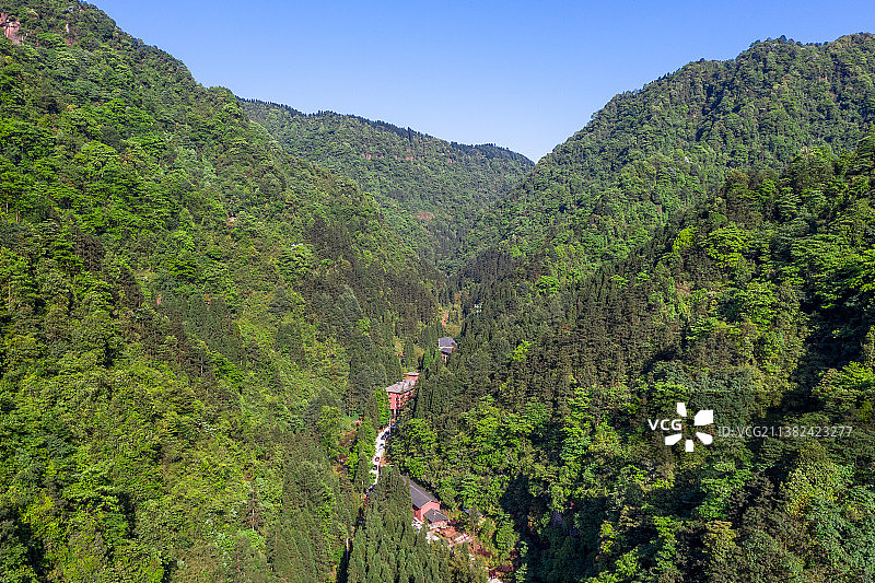 重庆四面山 森林 山脉图片素材