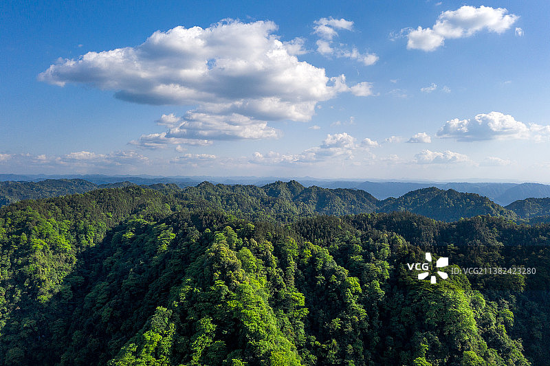 重庆四面山 森林 山脉图片素材