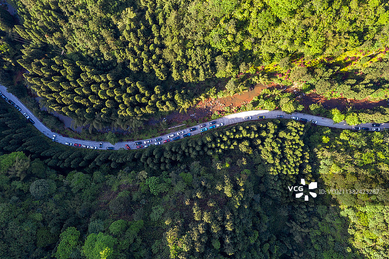 四面山 森林 道路图片素材