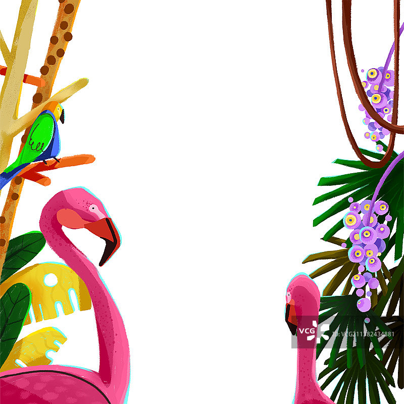 热带丛林边框图片素材