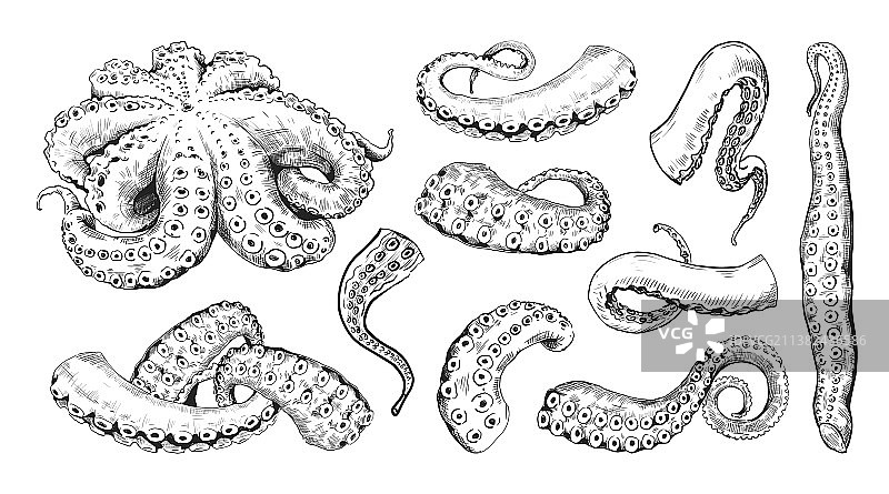 章鱼触手手绘雕刻图片素材