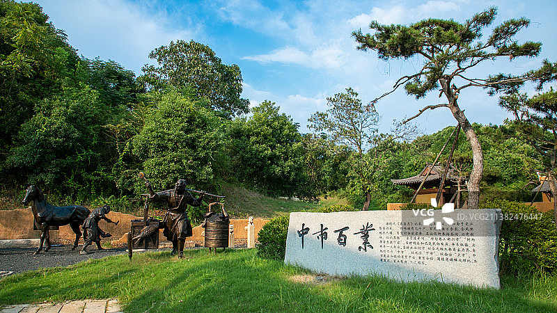 吉州窑图片素材
