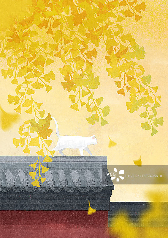 二十四节气立秋图片素材