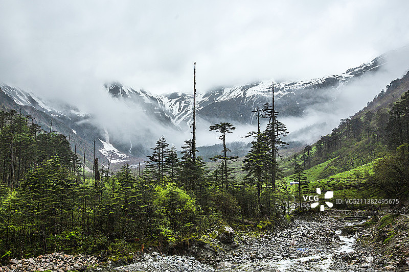 莲花秘境---墨脱图片素材