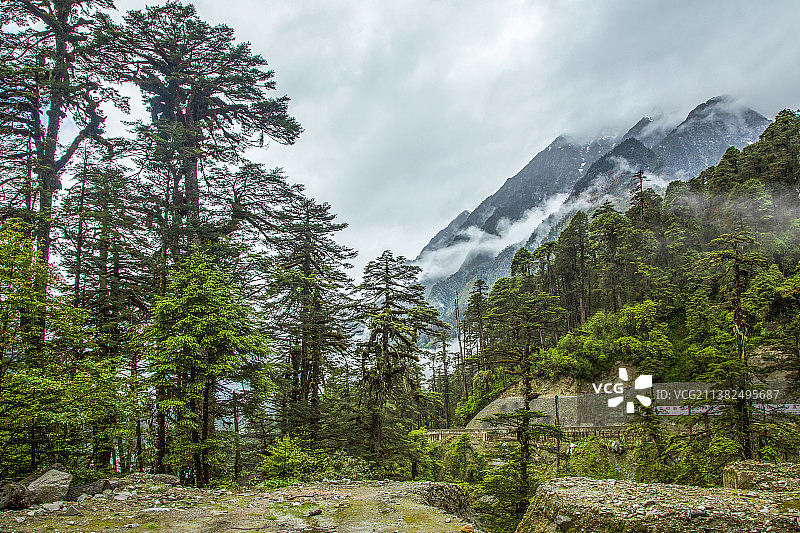 莲花秘境---墨脱图片素材