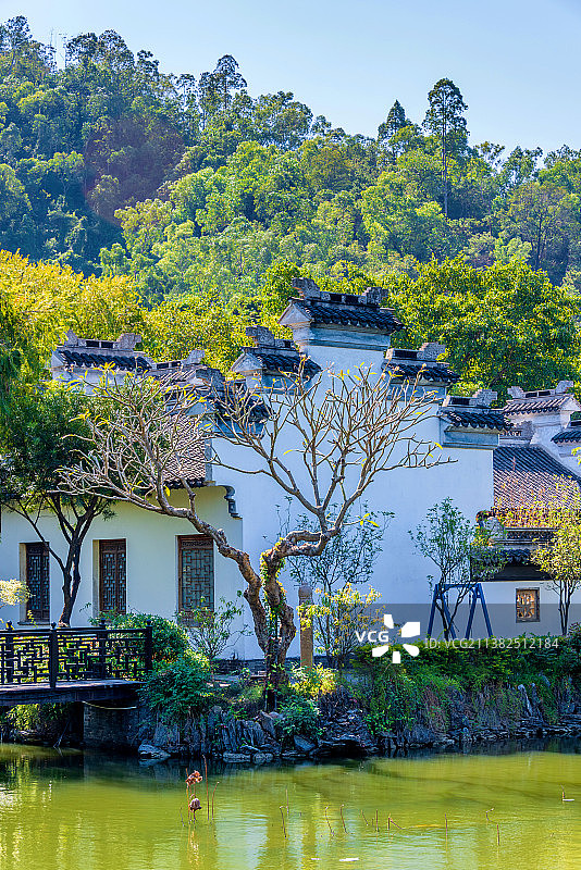 中国广东中山詹园园林风光图片素材