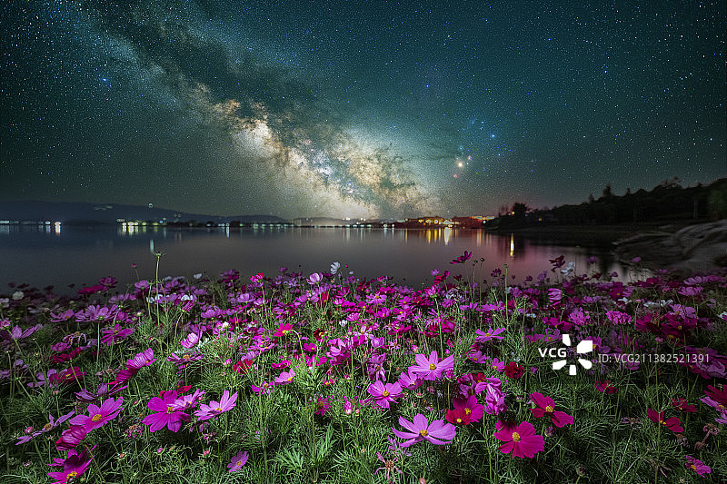 夏季格桑花银河星空图片素材
