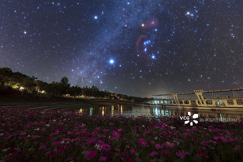 夏季格桑花银河星空图片素材