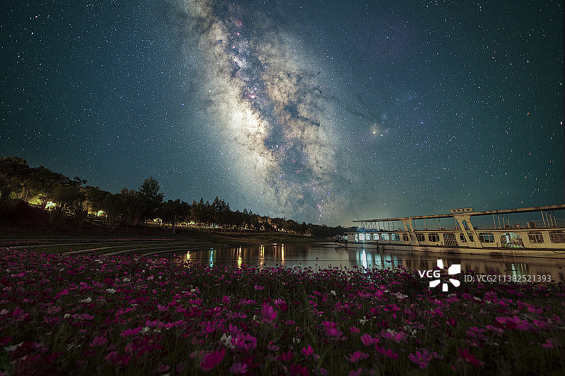 夏季格桑花银河星空图片素材