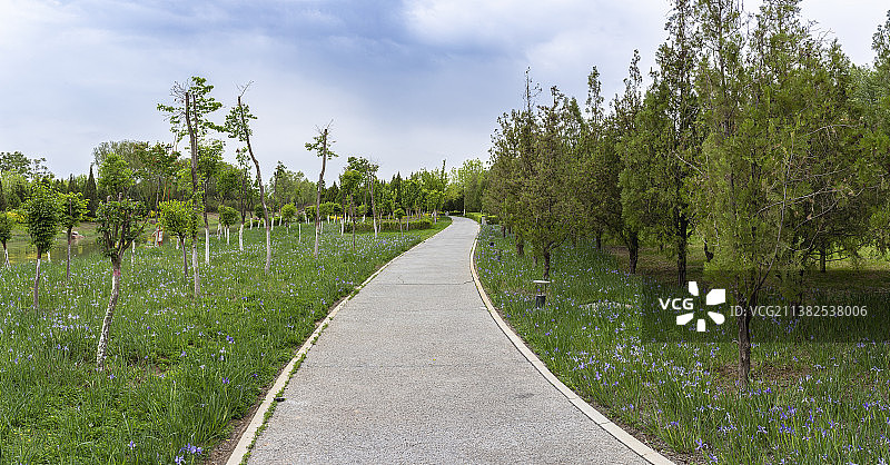 宁夏银川花博园夏景图片素材