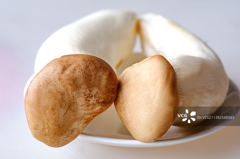 杏鲍菇图片素材