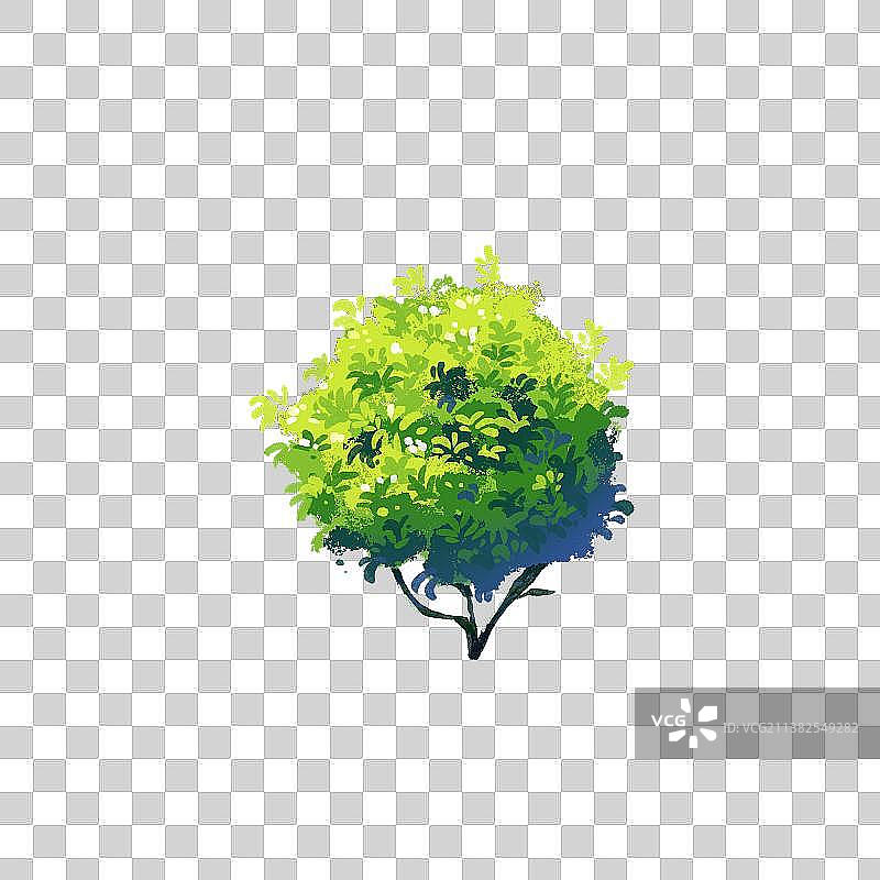 植物灌木草丛园林手绘图片素材