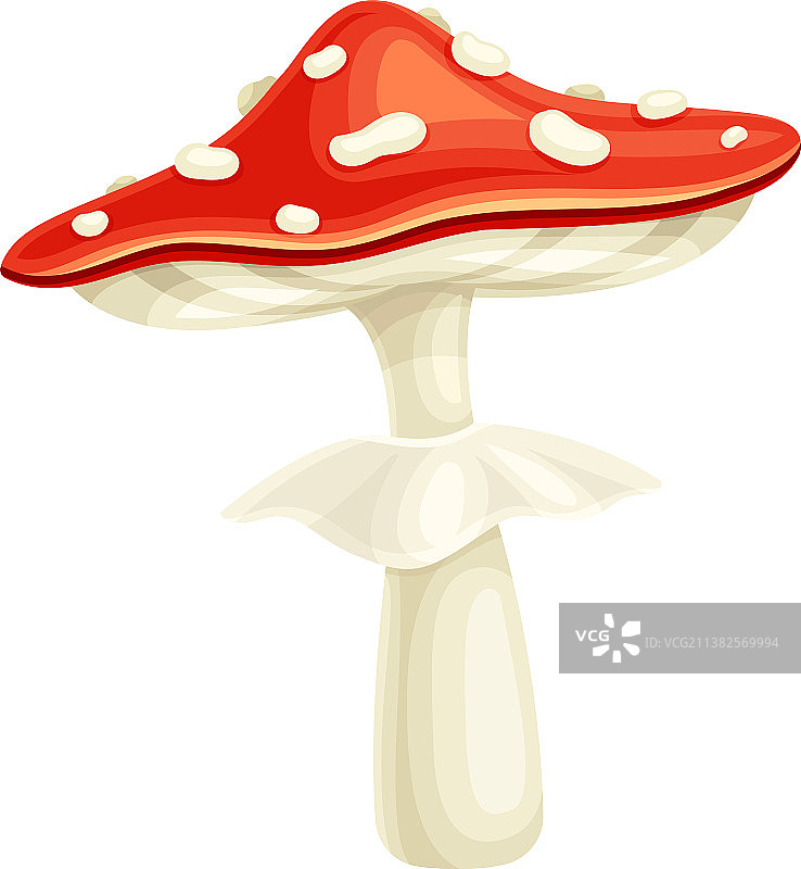 带红色斑点的可爱毒蝇伞图片素材