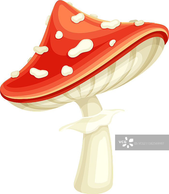 毒蝇鹅膏菌蘑菇图片素材