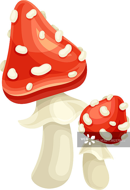 可爱有毒的毒蝇伞图片素材