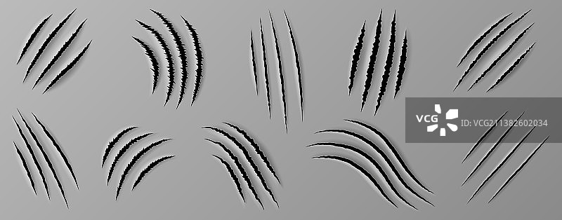 逼真野生动物爪痕素材集图片素材