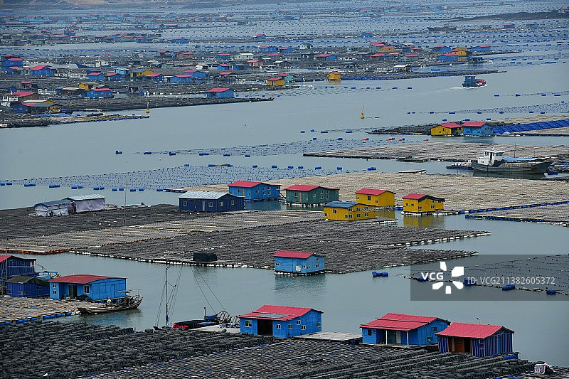 东安鱼排图片素材