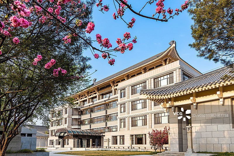 春天四月榆叶梅掩映的北京大学图书馆图片素材