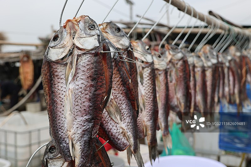 太湖最地道的水产市场图片素材