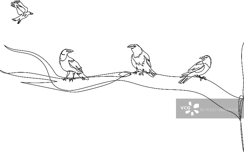 树枝上的乌鸦单线艺术图片素材