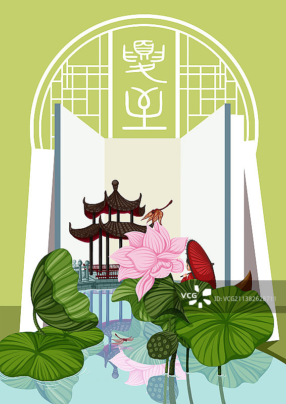 夏至荷花开图片素材