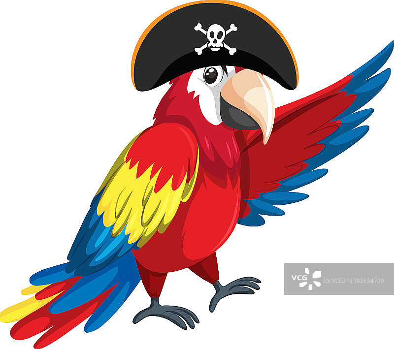 戴三角帽的鹦鹉海盗概念图片素材