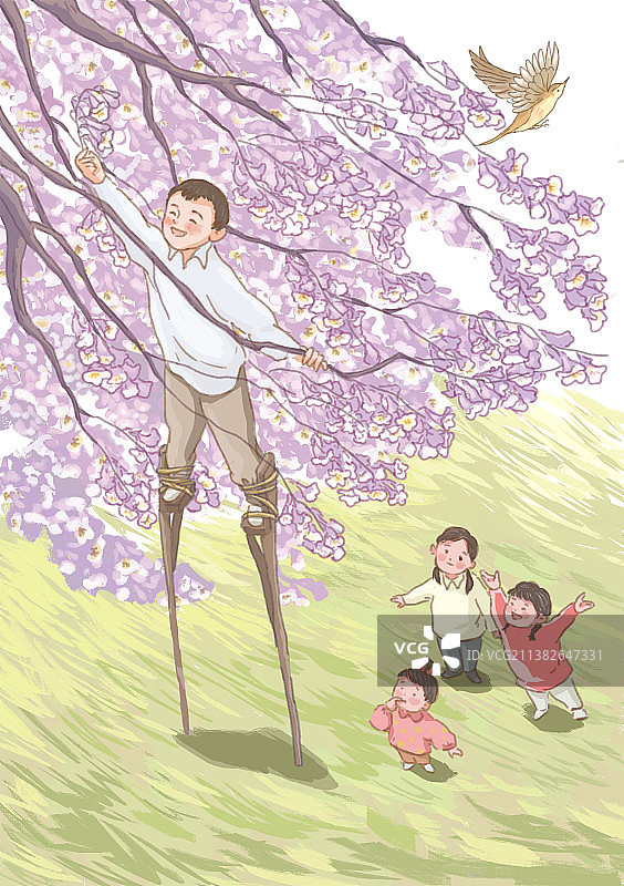 春天摘泡桐花图片素材