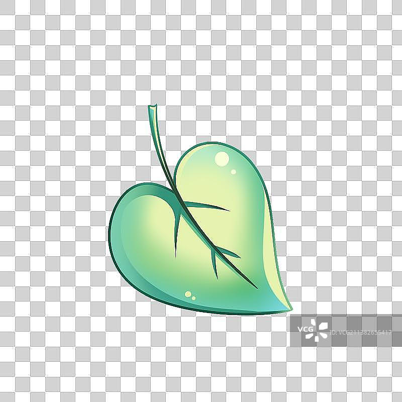 一片心形树叶——树叶种类图片素材