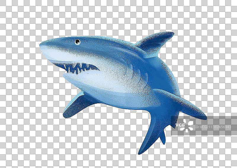 海洋中的鲨鱼图片素材
