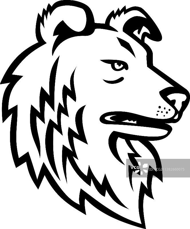 设得兰牧羊犬或设得兰柯利犬吉祥物（黑色）图片素材