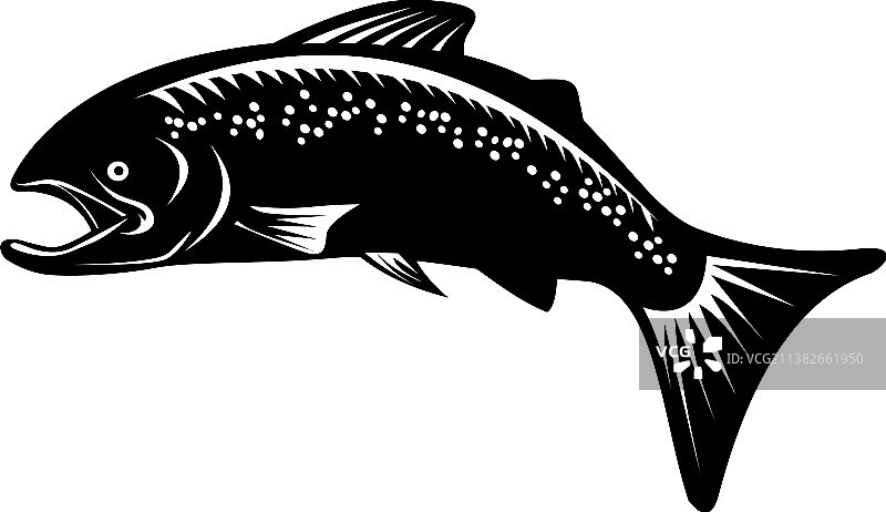 跃起的斑点鳟鱼复古木刻图片素材
