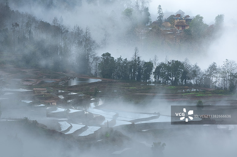 云雾中元阳梯田的哈尼蘑菇房图片素材