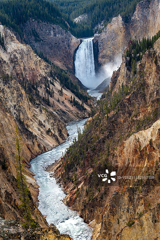黄色岩石簇拥下的黄石大峡谷中，一条白色的水龙倾泻而下，在山谷中形成巨大的烟雾，近处一棵枯树独自矗立图片素材