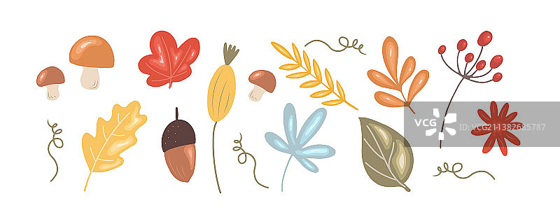 感恩节花卉套装图片素材