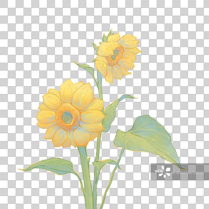 夏日向日葵清新复古免扣元素图片素材