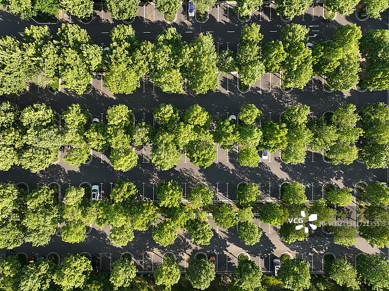 绿荫下的停车场图片素材