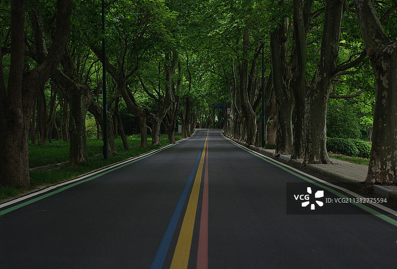 森林和彩虹跑道图片素材