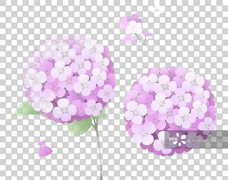 扁平插画绣球花图片素材