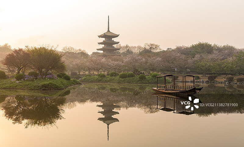浪漫樱花季节图片素材