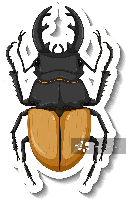 锹甲虫俯视图贴纸模板图片素材