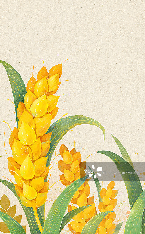 芒种节气插画麦穗和农民伯伯图片素材