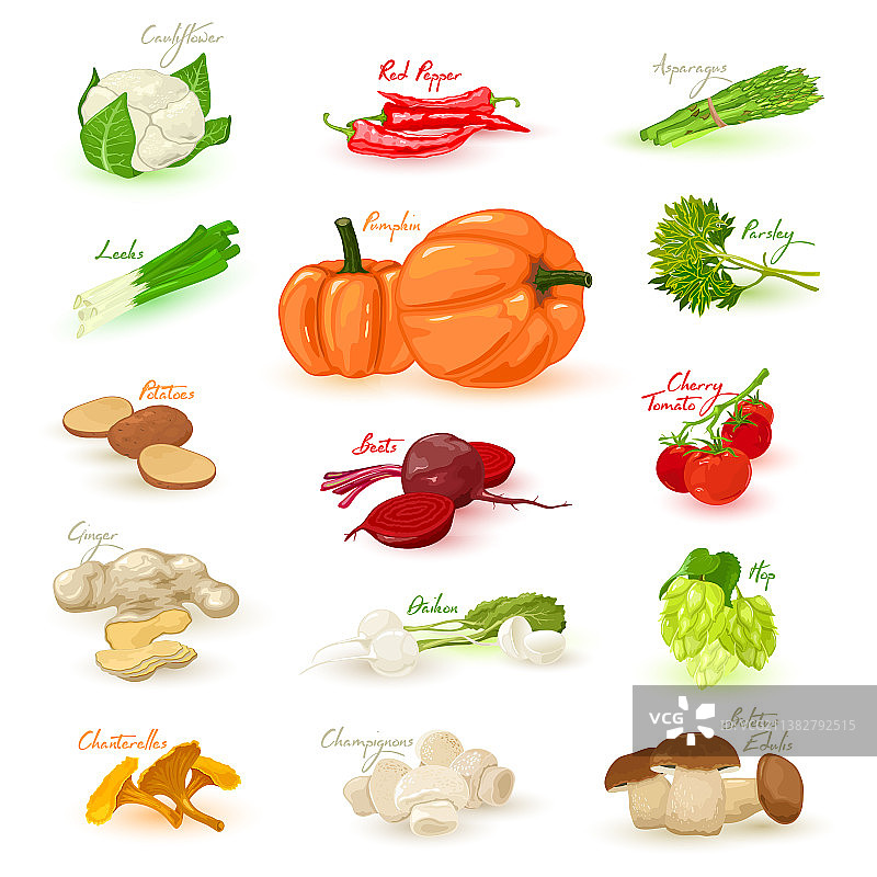 卡通新鲜蔬菜合集图片素材