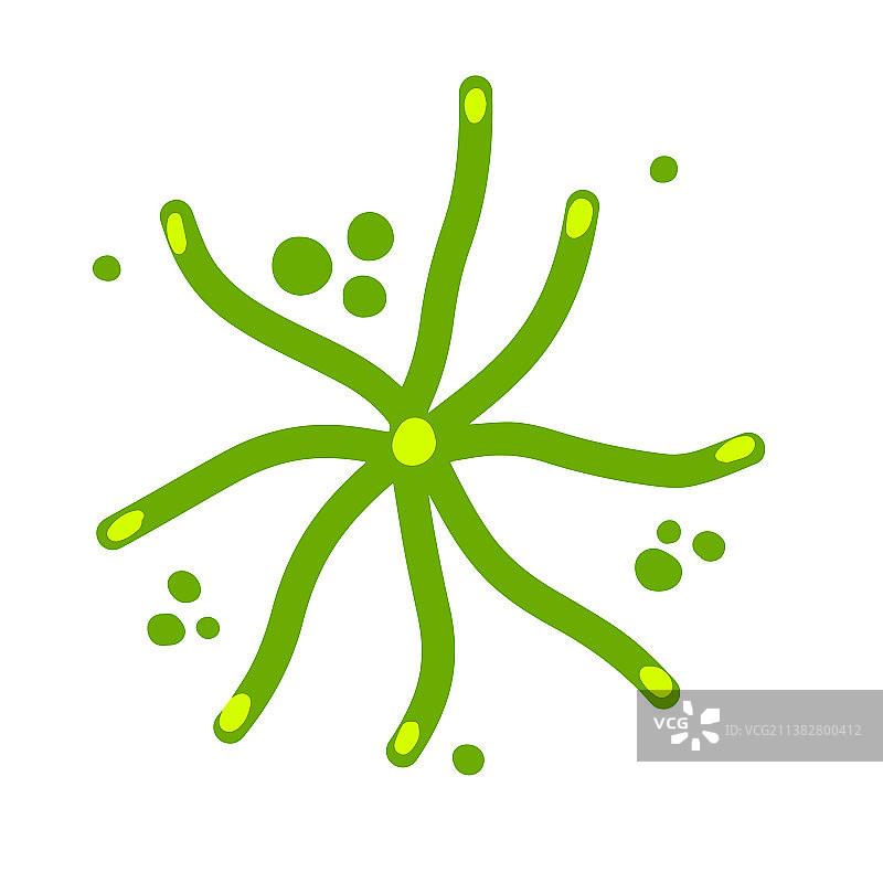 水生微藻和细菌图片素材