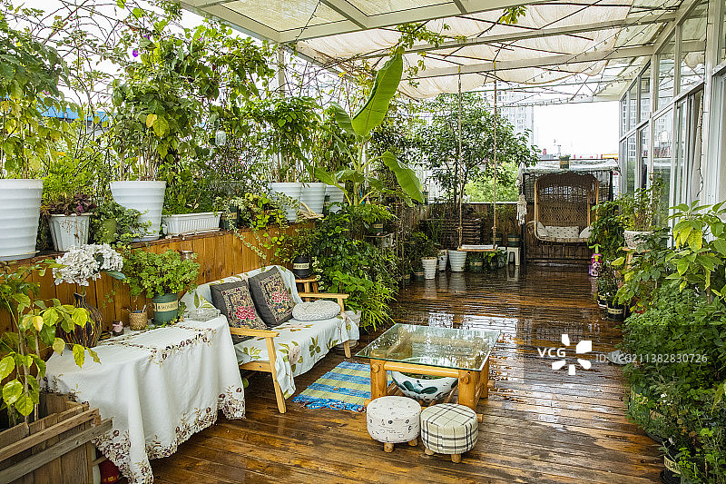 枝繁叶茂的阳台图片素材