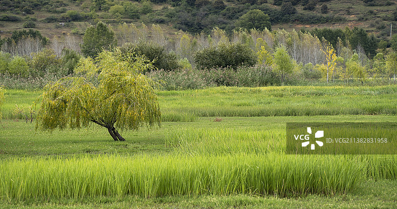 泸沽湖走婚桥风光图片素材