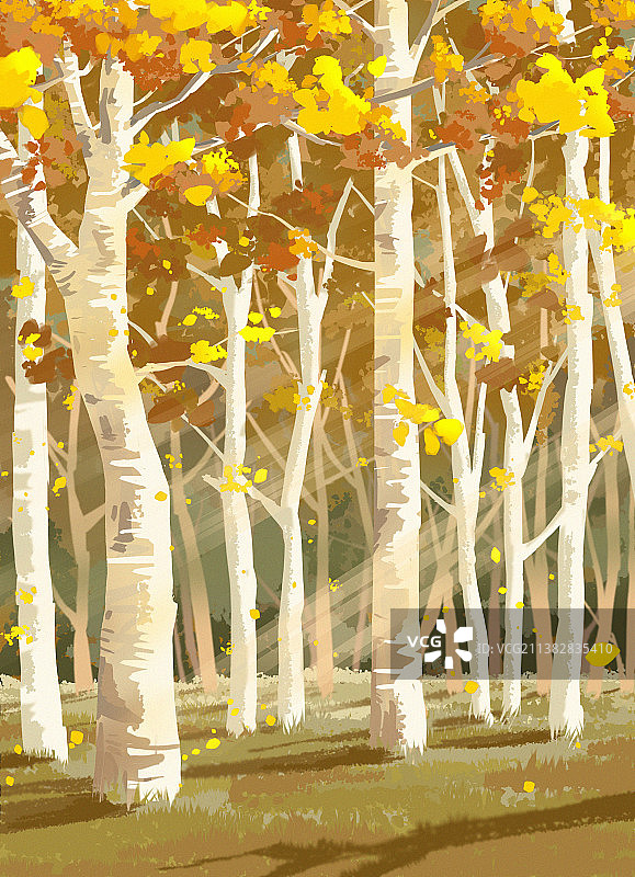 秋日暖阳小树林图片素材