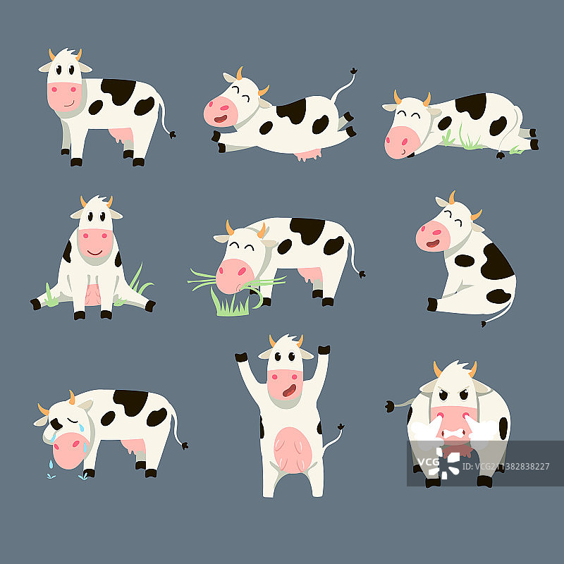 灰色背景上的一组有趣的斑点奶牛图片素材
